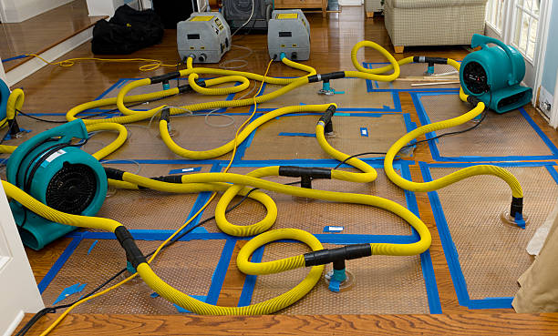 Professional Sewage Cleanup technician working in Killbuck, OH